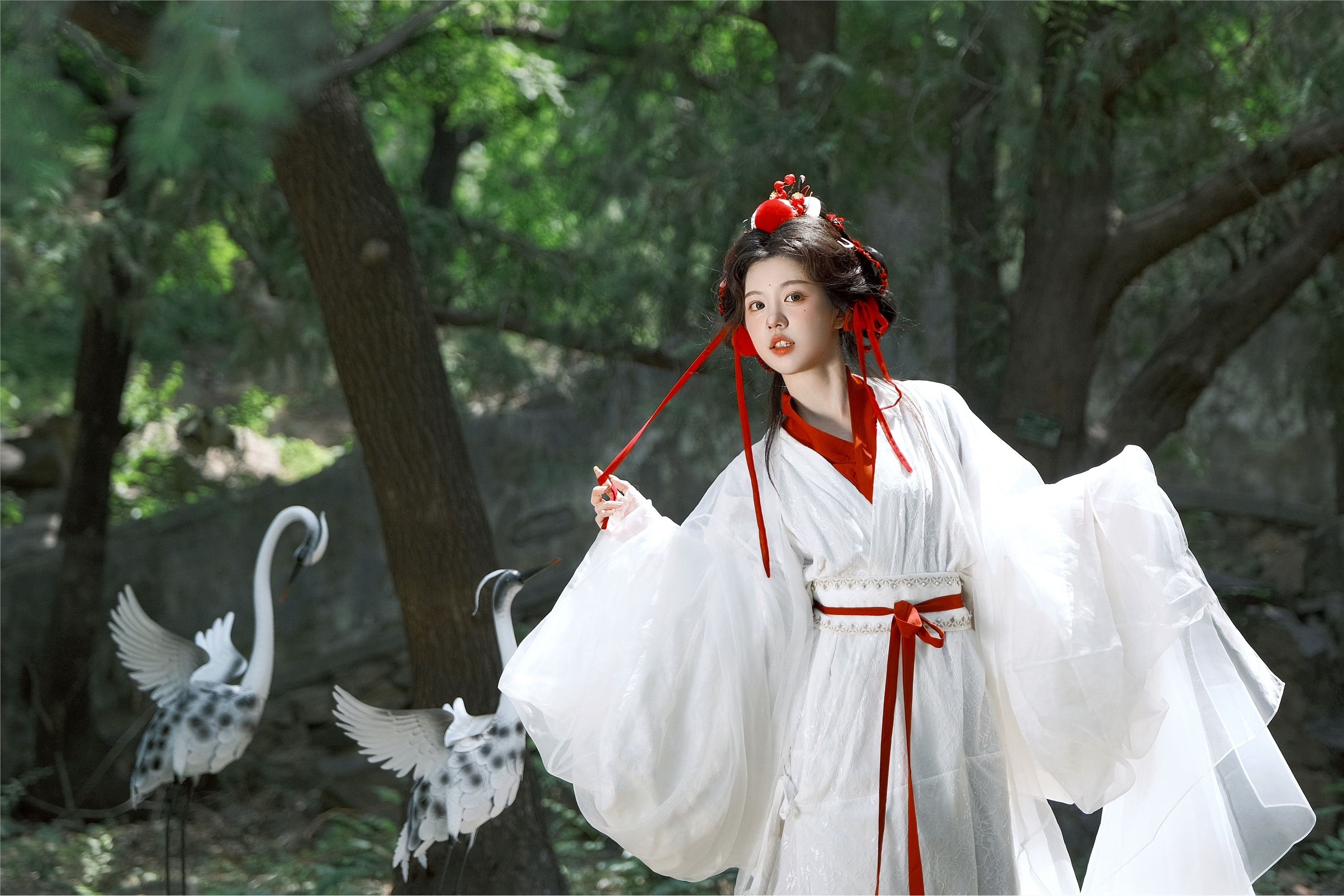 YITUYU艺图语 2025.02.05 鹤 整整